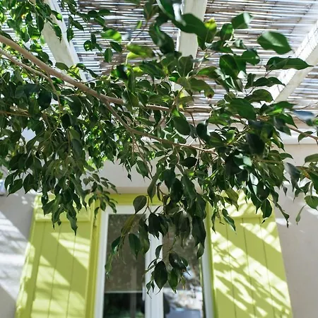Amazing 1-bedroom House In Tinos Agios Sostis (Tinos)
